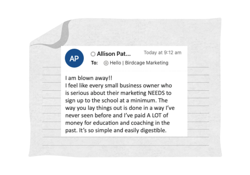 Birdcage angel advisors, marketing coaching, small business support, educational marketing strategies.